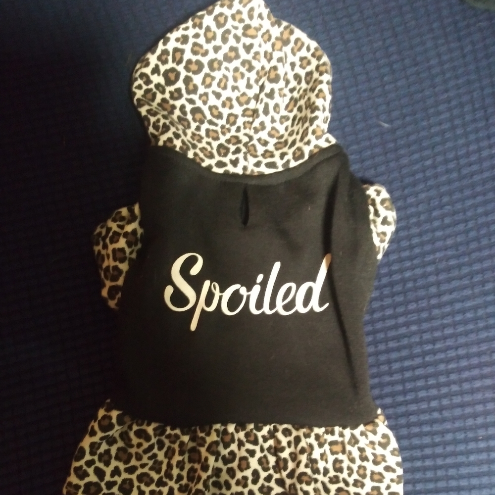 Puppy or small dog outfit